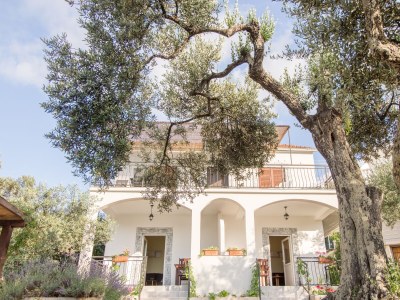 Apartment Two bedroom apartment near beach Žuronja, Pelješac A-10134-a - Outdoor photo 6