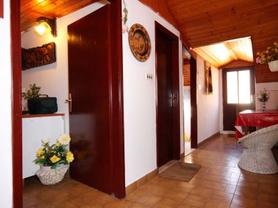 Apartment Two bedroom apartment with terrace and sea view Prigradica, Korčula A-193-b - Outdoor photo 23