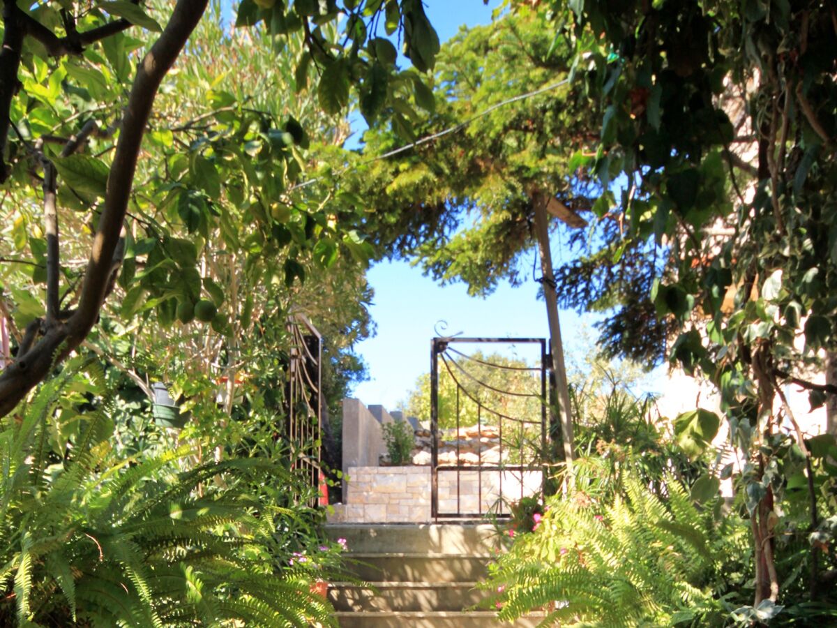 Apartment One bedroom apartment with terrace Prigradica, Korčula A-193-c - Outdoor photo 5