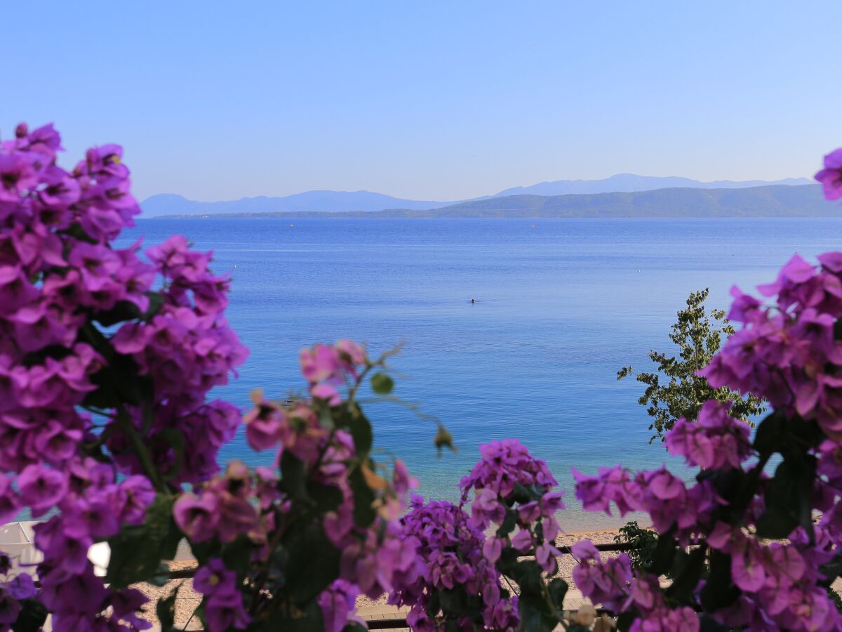 Apartment One bedroom apartment near beach Igrane, Makarska A-6653-c