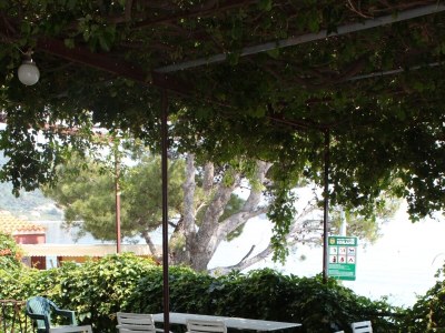 Apartment One bedroom apartment near beach Igrane, Makarska A-6653-c - Outdoor photo 7