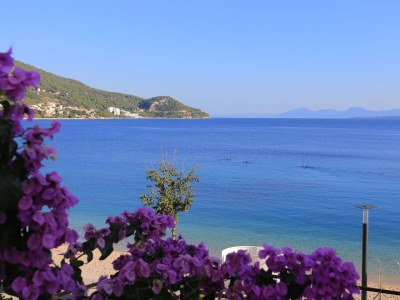Apartment One bedroom apartment near beach Igrane, Makarska A-6653-c - Outdoor photo 26