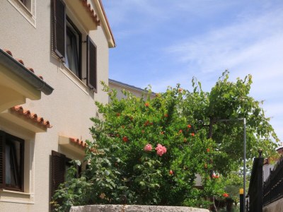 Apartment One bedroom apartment with terrace Mali Lošinj, Lošinj A-376-b - Outdoor photo 8