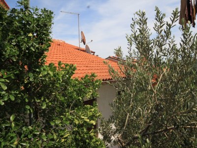 Apartment One bedroom apartment with terrace Mali Lošinj, Lošinj A-376-b - Outdoor photo 21