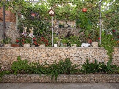 Apartment Studio flat near beach Igrane, Makarska AS-311-a - Outdoor photo 10