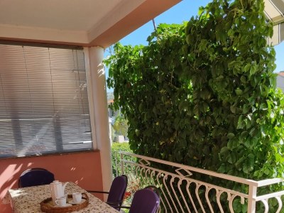 Apartment Two bedroom apartment near beach Neviđane, Pašman A-325-b - Outdoor photo 24