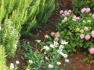 Apartment Studio flat with air-conditioning Punta križa, Cres AS-383-a - Outdoor photo 9