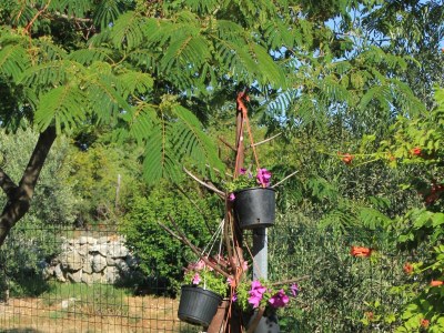 Apartment Studio flat with terrace and sea view Punta križa, Cres AS-383-b - Outdoor photo 6