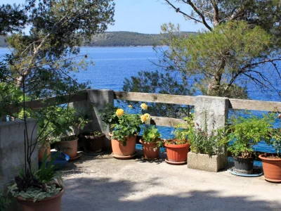 Apartment Two bedroom apartment near beach Lavdara, Dugi otok A-433-b - Outdoor photo 6