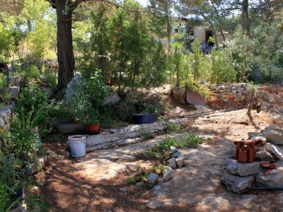 Apartment Two bedroom apartment near beach Lavdara, Dugi otok A-433-b - Outdoor photo 8