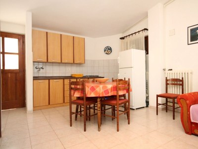 Apartment Two bedroom apartment near beach Lavdara, Dugi otok A-434-a - Outdoor photo 12