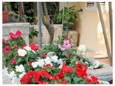 Apartment Two bedroom apartment with terrace and sea view Orebić, Pelješac A-275-b - Outdoor photo 7