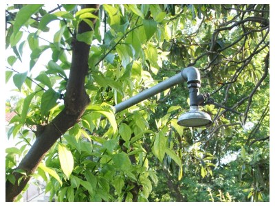 Apartment Two bedroom apartment with terrace and sea view Orebić, Pelješac A-275-b - Outdoor photo 9