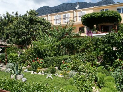 Apartment Two bedroom apartment with terrace and sea view Orebić, Pelješac A-275-b - Outdoor photo 13