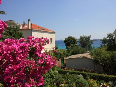 Apartment Two bedroom apartment with terrace and sea view Orebić, Pelješac A-275-b - Outdoor photo 31