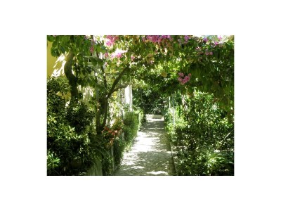 Apartment Two bedroom apartment with terrace and sea view Orebić, Pelješac A-275-d - Outdoor photo 7