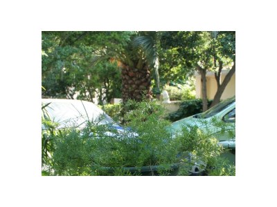 Apartment Two bedroom apartment with terrace and sea view Orebić, Pelješac A-275-d - Outdoor photo 9