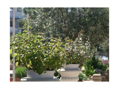 Apartment Two bedroom apartment near beach Stara Novalja, Pag A-234-d - Outdoor photo 12