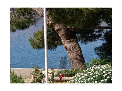 Apartment Two bedroom apartment near beach Stara Novalja, Pag A-234-d - Outdoor photo 13