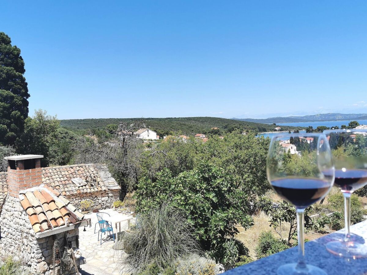 Apartment One bedroom apartment with terrace and sea view Žman, Dugi otok A-449-b