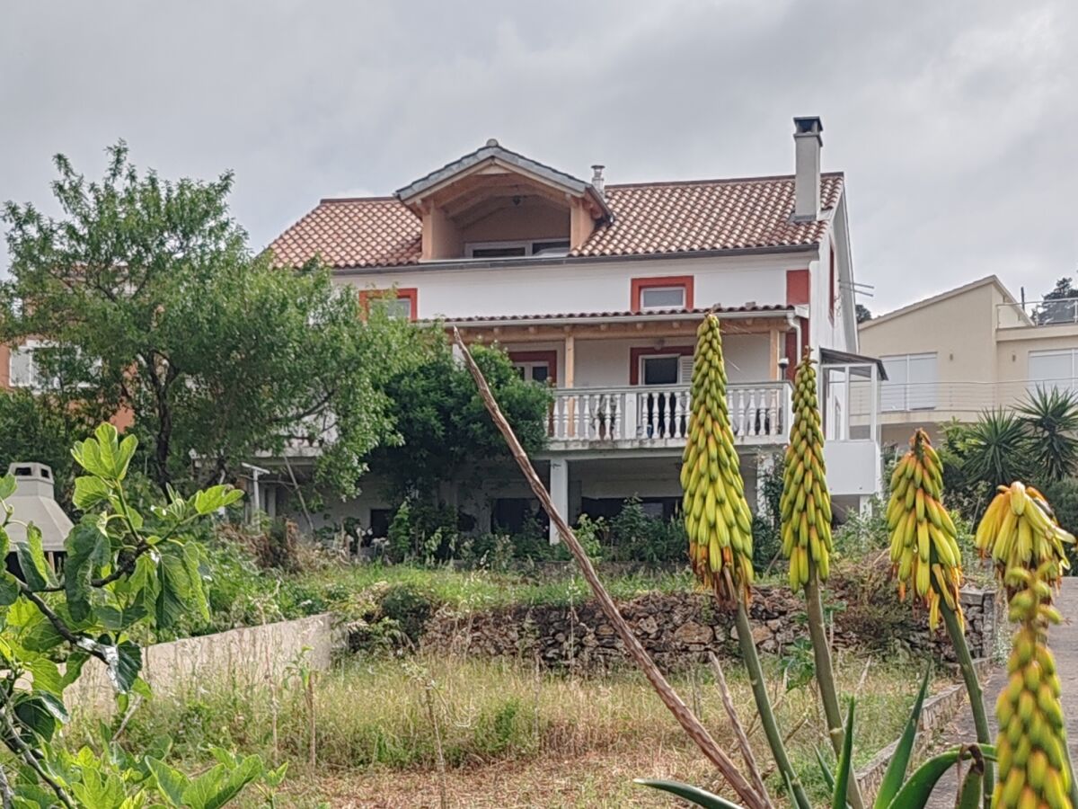 Apartment One bedroom apartment with terrace and sea view Žman, Dugi otok A-449-b - Outdoor photo 4