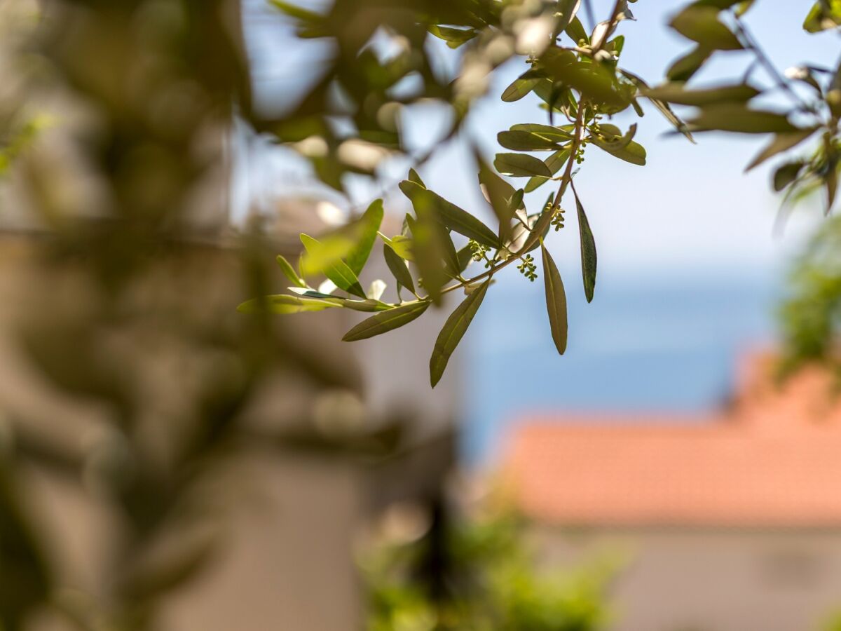 Apartment Studio flat with balcony and sea view Baška Voda, Makarska AS-301-b - Outdoor photo 4
