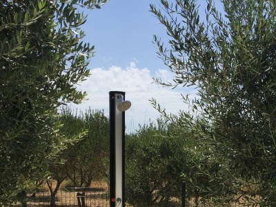 Apartment Two bedroom apartment with terrace and sea view Povljana, Pag A-244-b - Outdoor photo 10