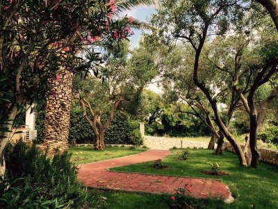 Apartment Two bedroom apartment with terrace Povljana, Pag A-244-c - Outdoor photo 13