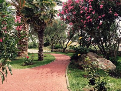 Apartment Studio flat with air-conditioning Povljana, Pag AS-244-a - Outdoor photo 13