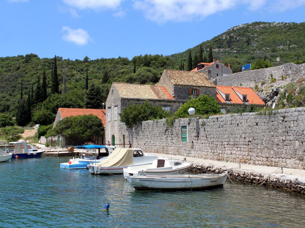 Holiday room near beach Zaton Mali, Dubrovnik S-8997-d - Outdoor photo 3