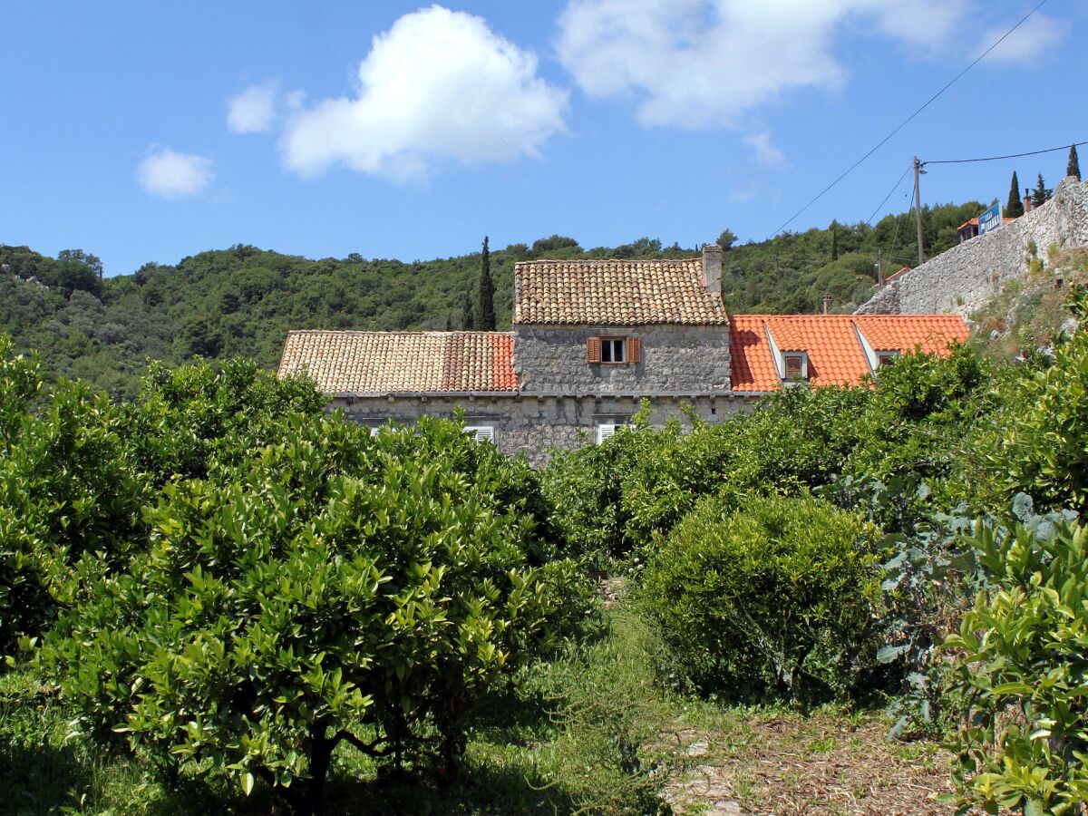 Holiday room near beach Zaton Mali, Dubrovnik S-8997-d - Outdoor photo 5