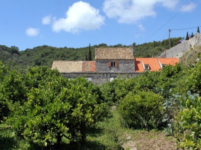 Holiday room near beach Zaton Mali, Dubrovnik S-8997-d - Outdoor photo 5