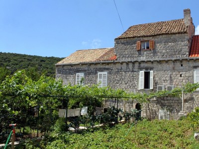 Holiday room near beach Zaton Mali, Dubrovnik S-8997-d - Outdoor photo 6