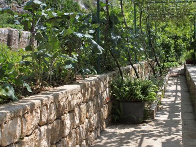 Holiday room near beach Zaton Mali, Dubrovnik S-8997-d - Outdoor photo 16