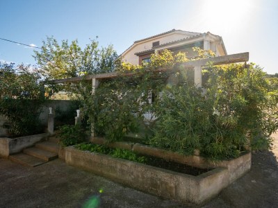 Apartment One bedroom apartment with terrace Sali, Dugi otok A-910-b - Outdoor photo 8