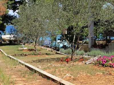 Apartment Two bedroom apartment near beach Tkon, Pašman A-698-b - Outdoor photo 11