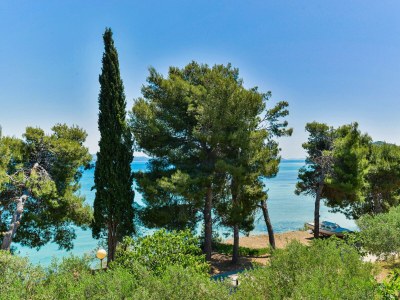 Apartment Two bedroom apartment near beach Tkon, Pašman A-698-b - Outdoor photo 32