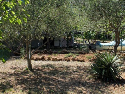 Apartment One bedroom apartment near beach Tkon, Pašman A-698-c - Outdoor photo 14