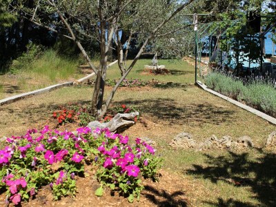 Apartment Studio flat near beach Tkon, Pašman AS-698-a - Outdoor photo 12