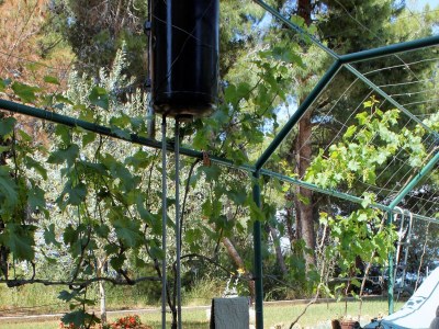 Apartment Studio flat near beach Tkon, Pašman AS-698-a - Outdoor photo 13