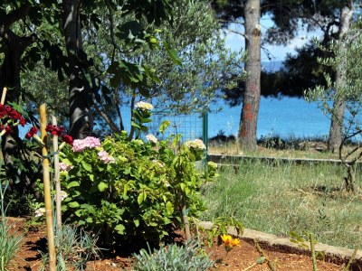 Apartment Studio flat near beach Tkon, Pašman AS-698-a - Outdoor photo 26