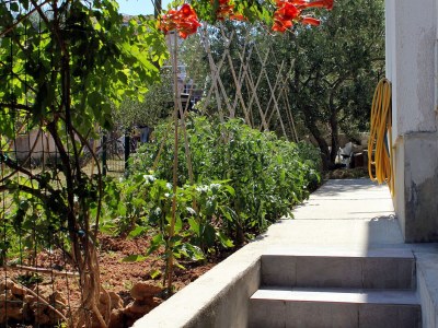 Apartment Studio flat near beach Tkon, Pašman AS-698-a - Outdoor photo 27