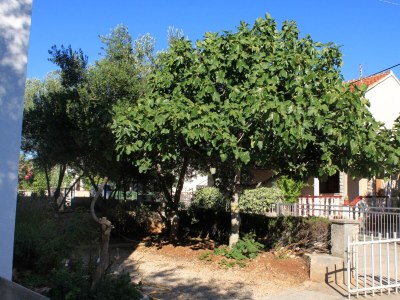 Apartment Studio flat with balcony Ždrelac, Pašman AS-697-b - Outdoor photo 6