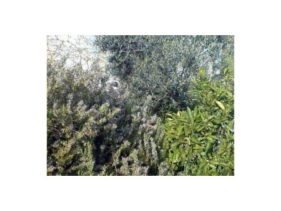 Apartment Studio flat with terrace and sea view Hvar AS-591-c - Outdoor photo 9