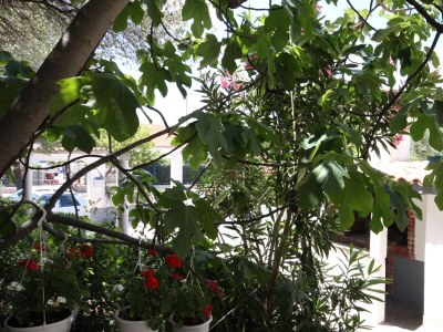 Apartment Apartments by the sea Biograd na Moru, Biograd - 858 - Apartments by the sea Biograd na Moru, Biograd - 858 - Outdoor photo 23