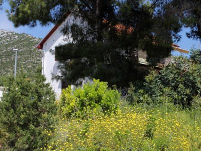 Apartment Two bedroom apartment with terrace and sea view Zavala, Hvar A-594-b - Outdoor photo 7