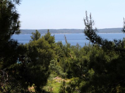 Apartment Two bedroom apartment with terrace and sea view Zavala, Hvar A-594-b - Outdoor photo 30