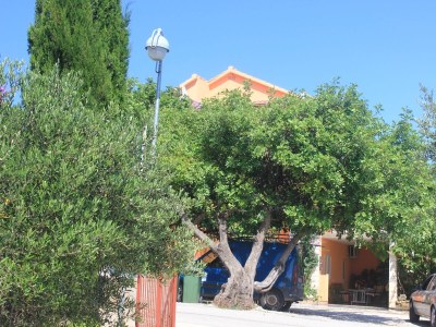 Apartment Apartments with parking space Orebić, Pelješac - 648 - Apartments with parking space Orebić, Pelješac - 648 - Outdoor photo 4