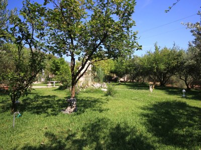 Apartment Apartments with parking space Orebić, Pelješac - 648 - Apartments with parking space Orebić, Pelješac - 648 - Outdoor photo 10