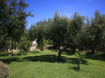 Apartment Apartments with parking space Orebić, Pelješac - 648 - Apartments with parking space Orebić, Pelješac - 648 - Outdoor photo 11